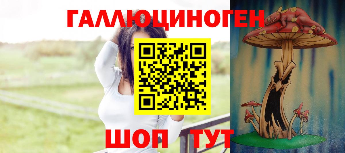 купить наркотики цена  Вход с VPN  Павлово  Галлюциногенные грибы Magic Shrooms 