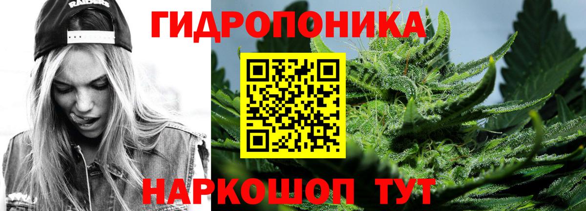Конопля ГИДРОПОН Павлово