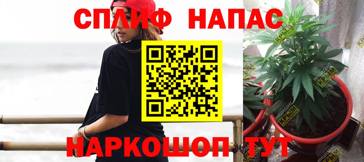 Бошки марихуана Amnesia  Вход с VPN  МАРИХУАНА OG Kush  Каннабис планчик  Павлово 